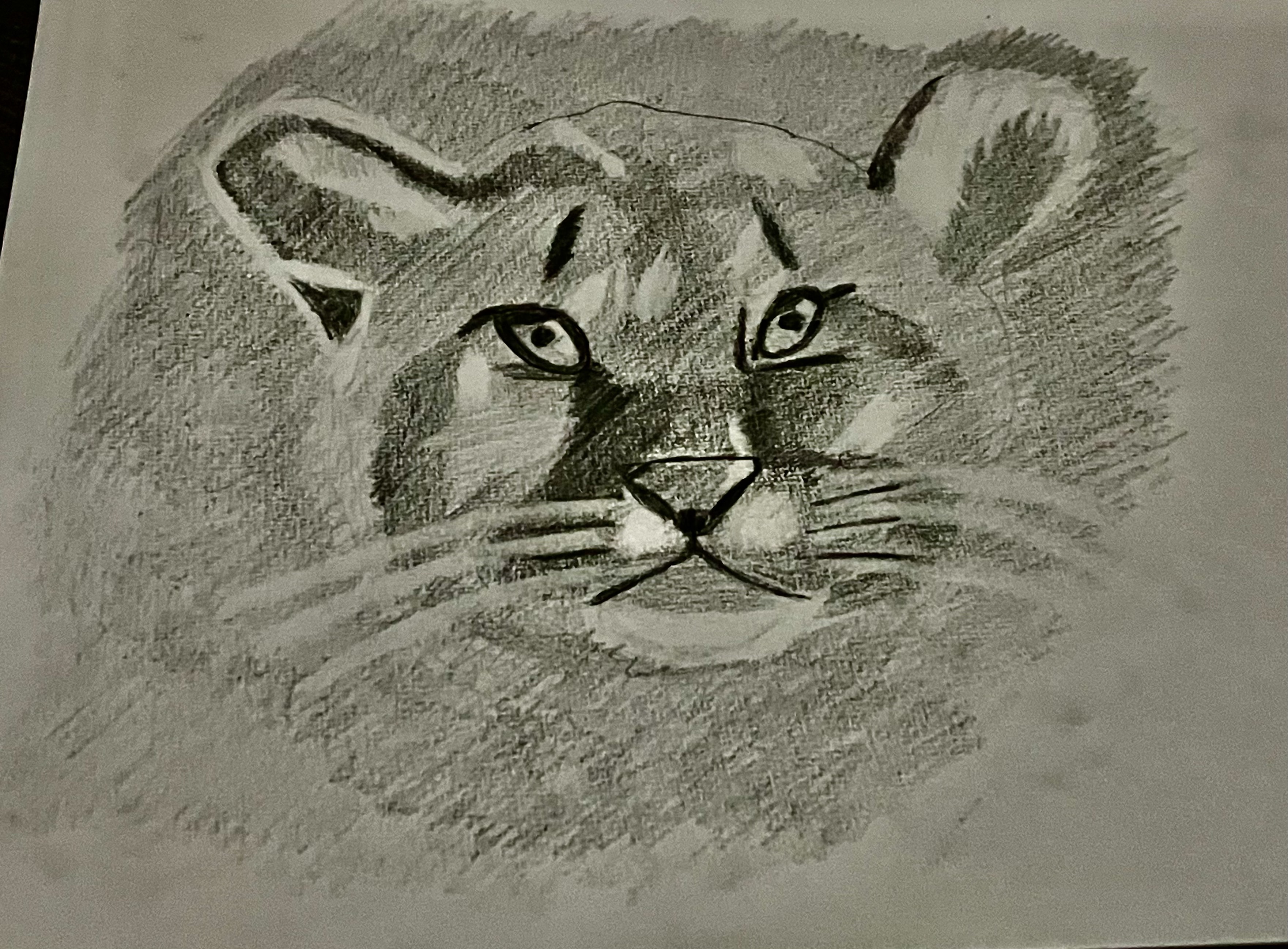 Dessin 1