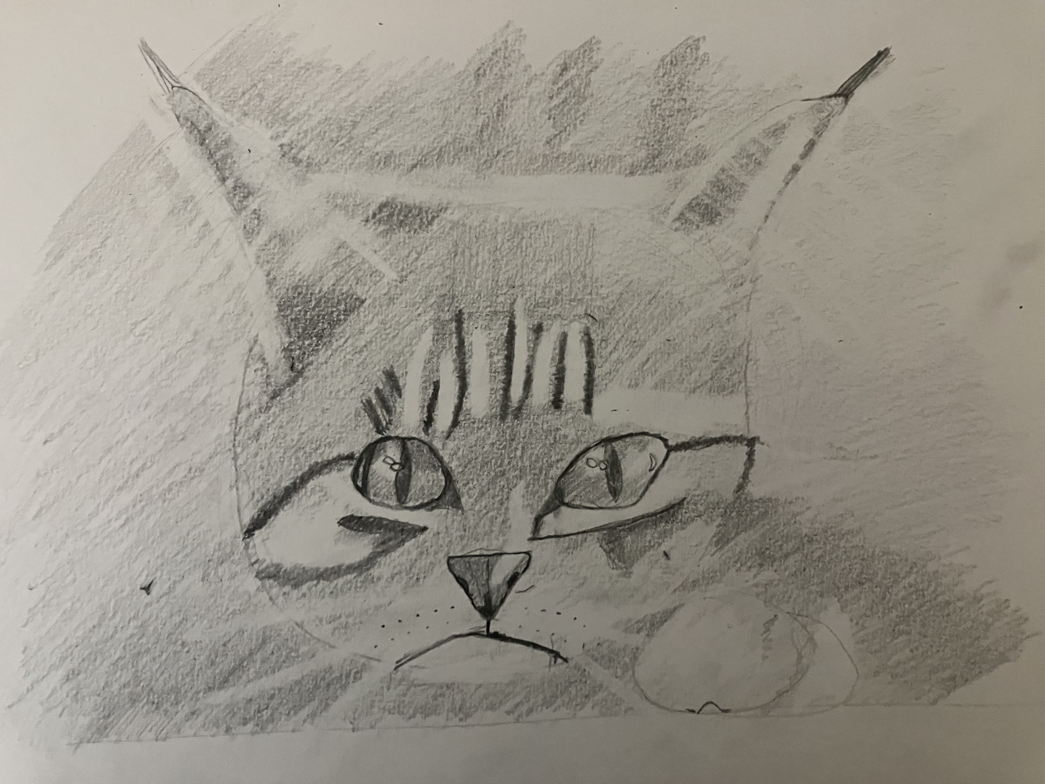 Dessin 5